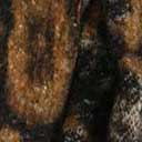 Swatch image