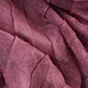 Swatch image